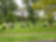 IMG_9127 (1).JPEG