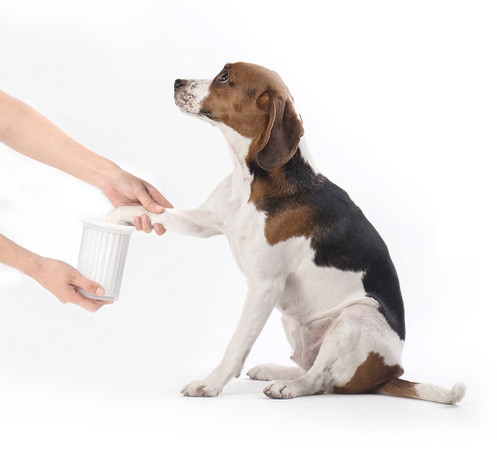 PETKIT Paw Cleaner and Massager | Instachew Smart Pet Products