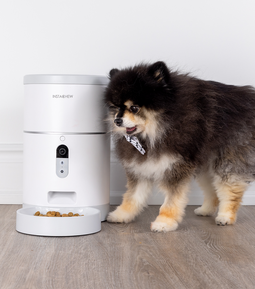 INSTACHEW Purechew Smart Pet Feeder with HD Camera
