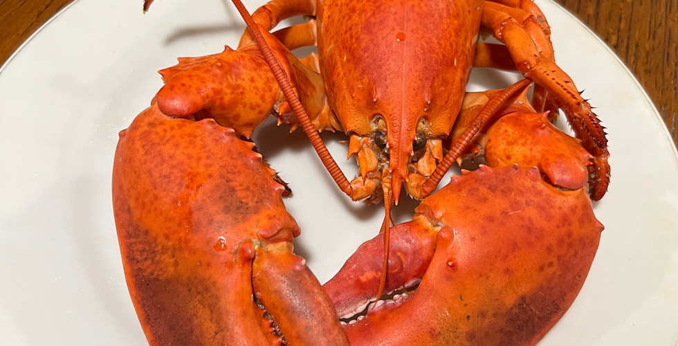 Lobster #14