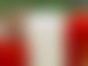 The European Hamster