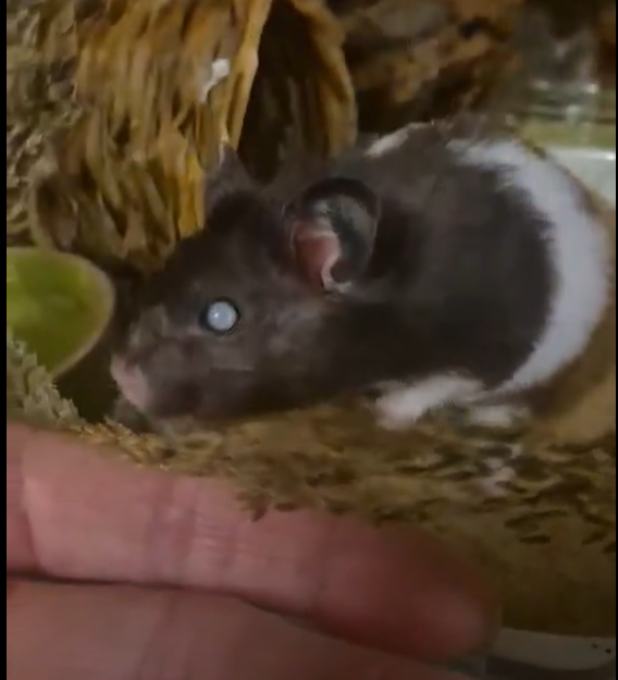 Moley starting to trust