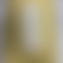 1/19 画集って売れますか？