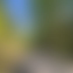 物集女店は出張する🚚