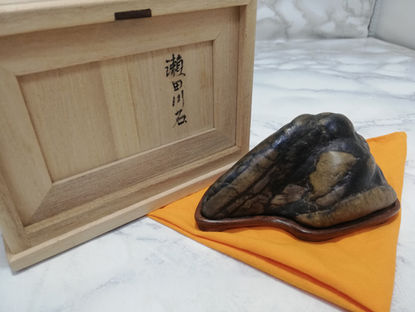 2/20 ✨ん??? なんだこの石???😟😟✨