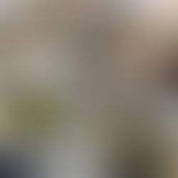 1日でこんなに集まります🤪