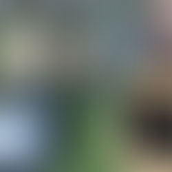 おたからや物集女店は引っ越しの強い味方🐱