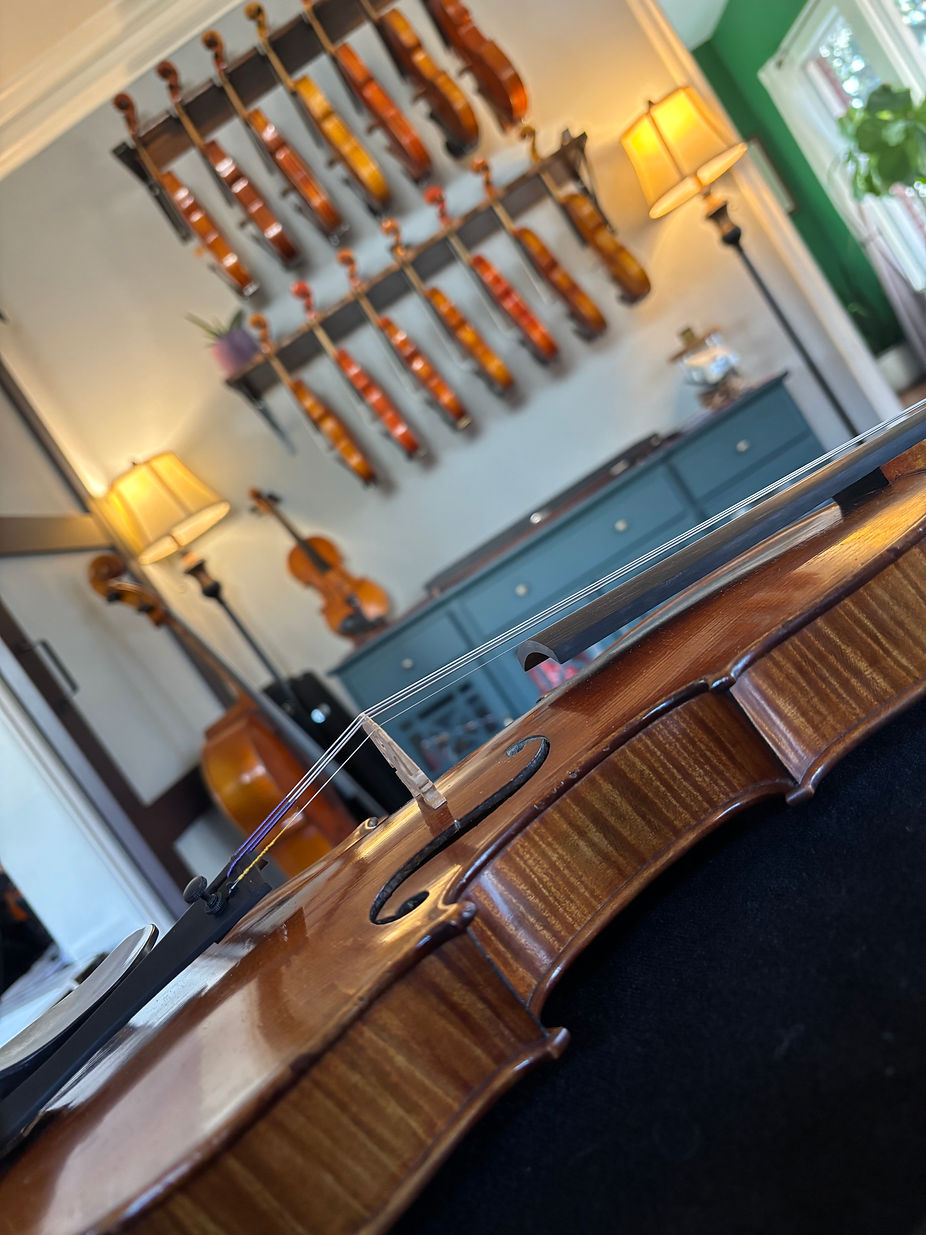 Fine Instrument Consulting Violins