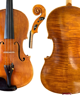 Patrick Higgins Viola 2019.png
