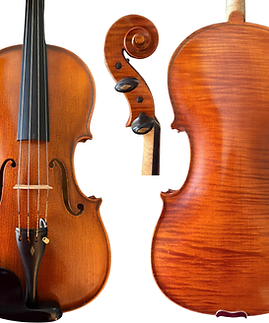 Franz Sandner Viola 2003.png