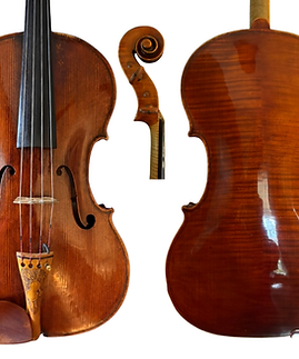Max Frirsz Viola 1965.png
