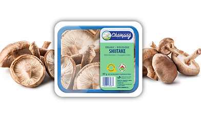 001174 _ Campg_BrandRefresh_Concepts_Meda_Design_C2b_USA_QC shiitake WHOLE.jpg