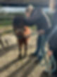 image1 (11).jpeg