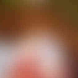 freshly harvested garlic