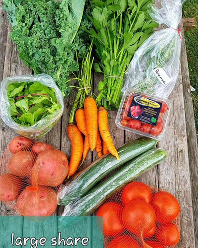 Csa Large Share Fisherville