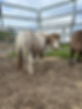image2 (3).jpeg