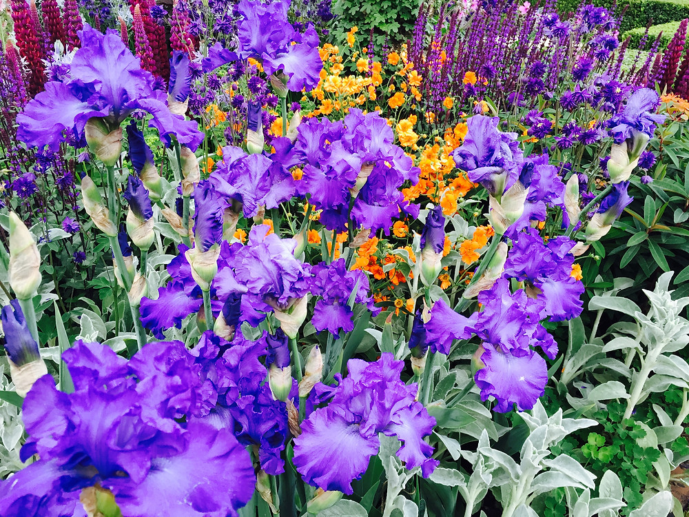 Gardener Burnley Gardening Service Garden Maintenance