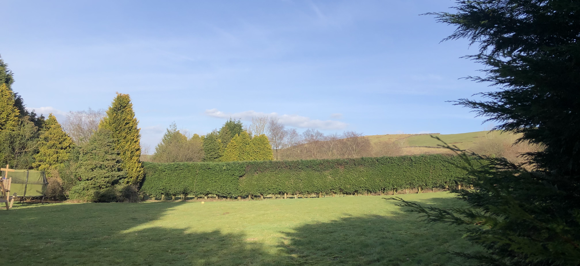 cutting hedge - your local gardening and grounds maintenance