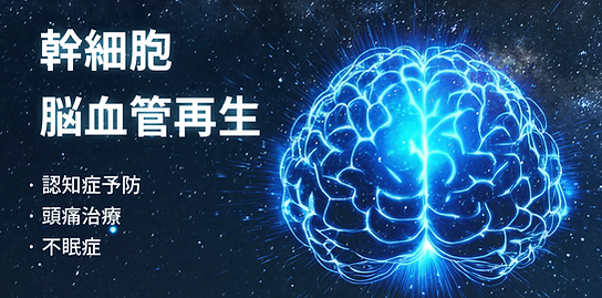 스크린샷 2026-07-08 오전 9.02.02.png