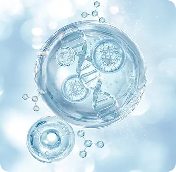 stemcell.webp