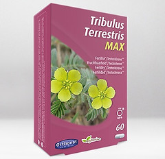 TRIBULUS_edited.jpg