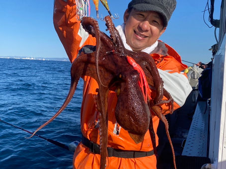 11月21日(火)エギタコ