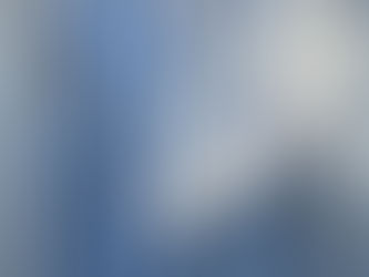 4月4日(火)太刀魚