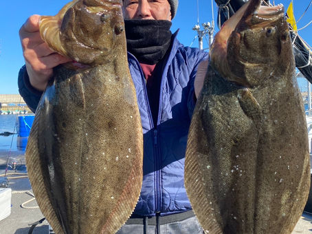 12月30日(金)ヒラメ