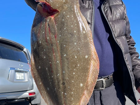 1月4日(土)ヒラメ