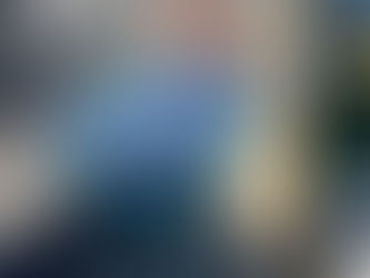 2月28日(火)太刀魚