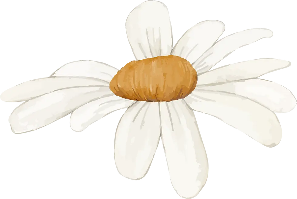 9.webp