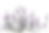 lavender-blossom-flower-purple.png