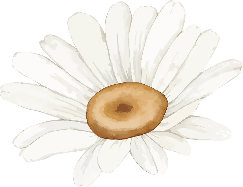 6.webp