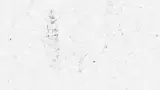 888.webp