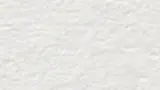 41.webp