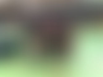 Die Wiedervereinigung der "alten" U18 1