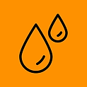 Feed carpa (36).png