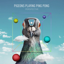 Pigeons Playing Ping Pong