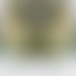 Plannen voor strengere lockdown liggen klaar