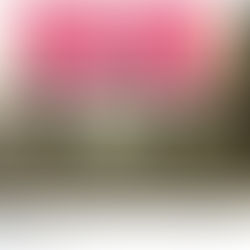 De stand van zaken... contradicties persconferentie FOD Volksgezondheid (12.03.2021)