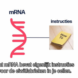 Wat zit er in een spuitje van Pfizer?