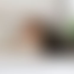 Slapeloosheid (bijna 1/3 van de Belgen)