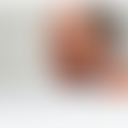 Hoge bomen vangen veel wind