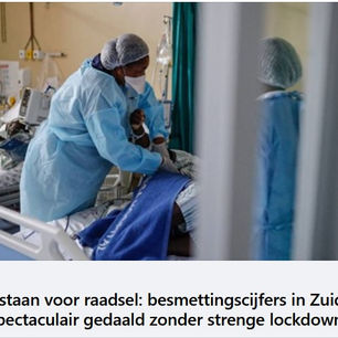 Waar is de Zuid-Afrikaanse variant?