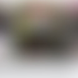 De onschendbaarheid van de woning