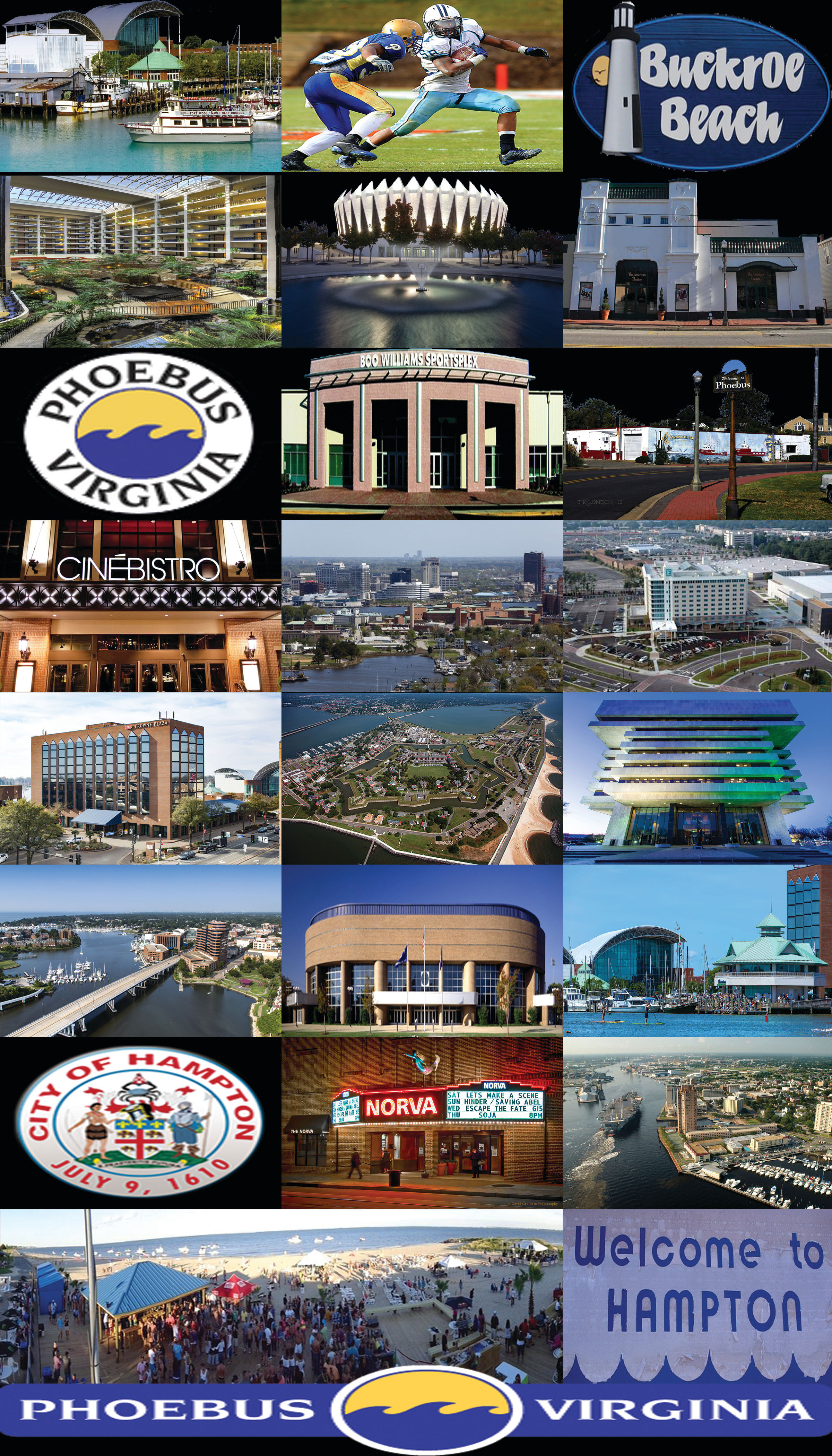 “The Hierarchy Elite” is a Social Enterprise Collective