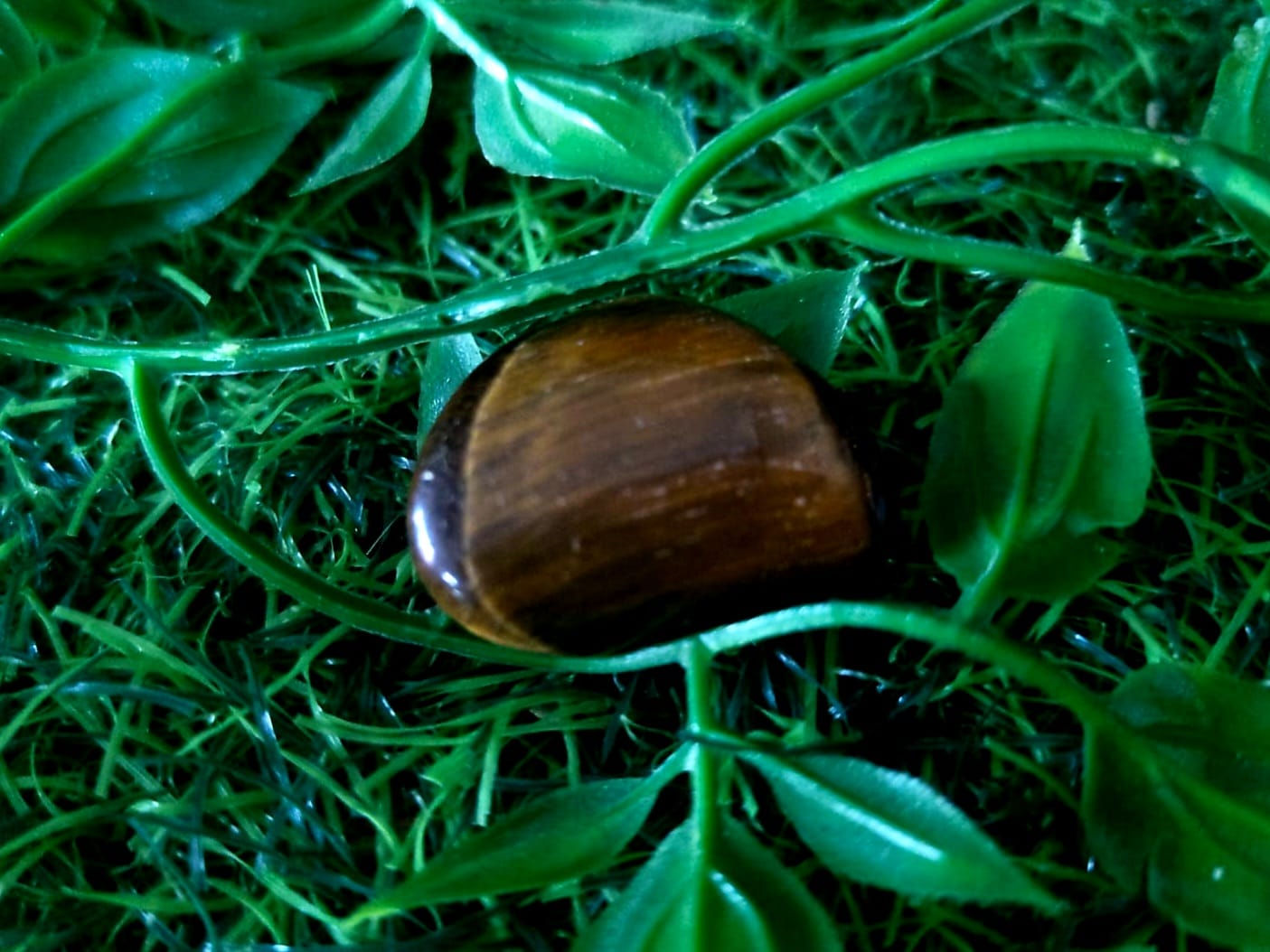 Tigers Eye Tumble stone