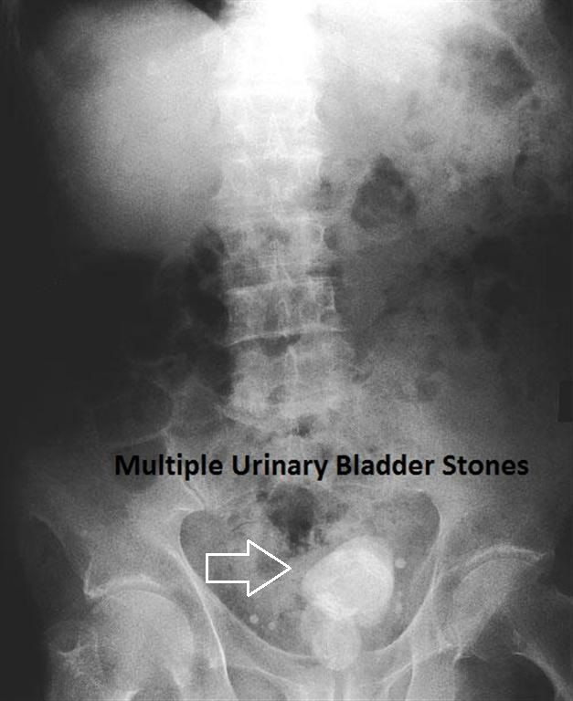 Radiology (75).jpg