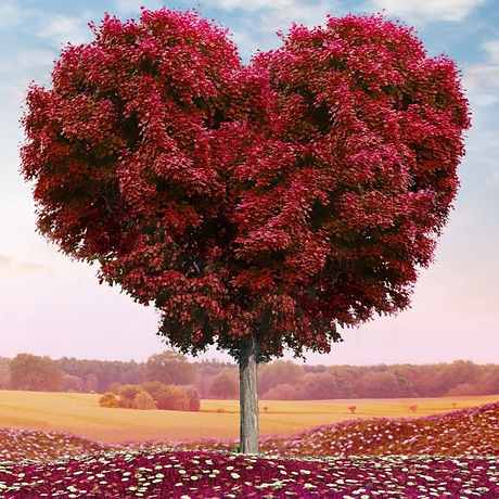 heart%20tree%20(red)_edited.jpg