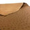 Thumbnail: Light brown Italian leather in embossed ostrich, folded to show the back side